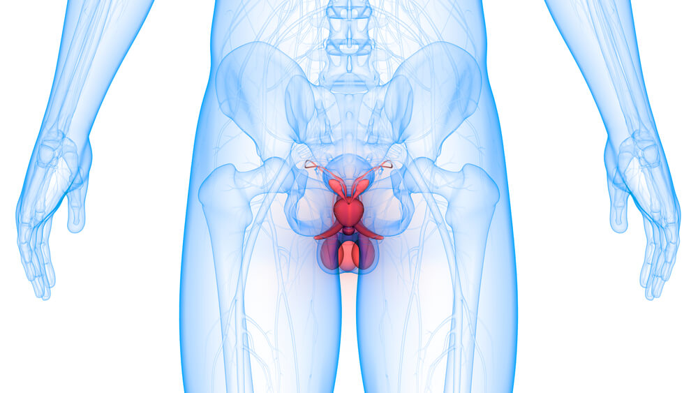 nowotwór prostaty maintrac badanie